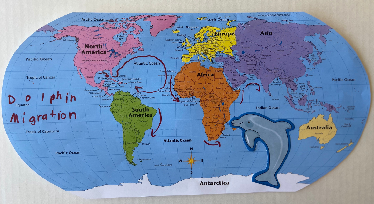 Labeled World- Practice Maps-3