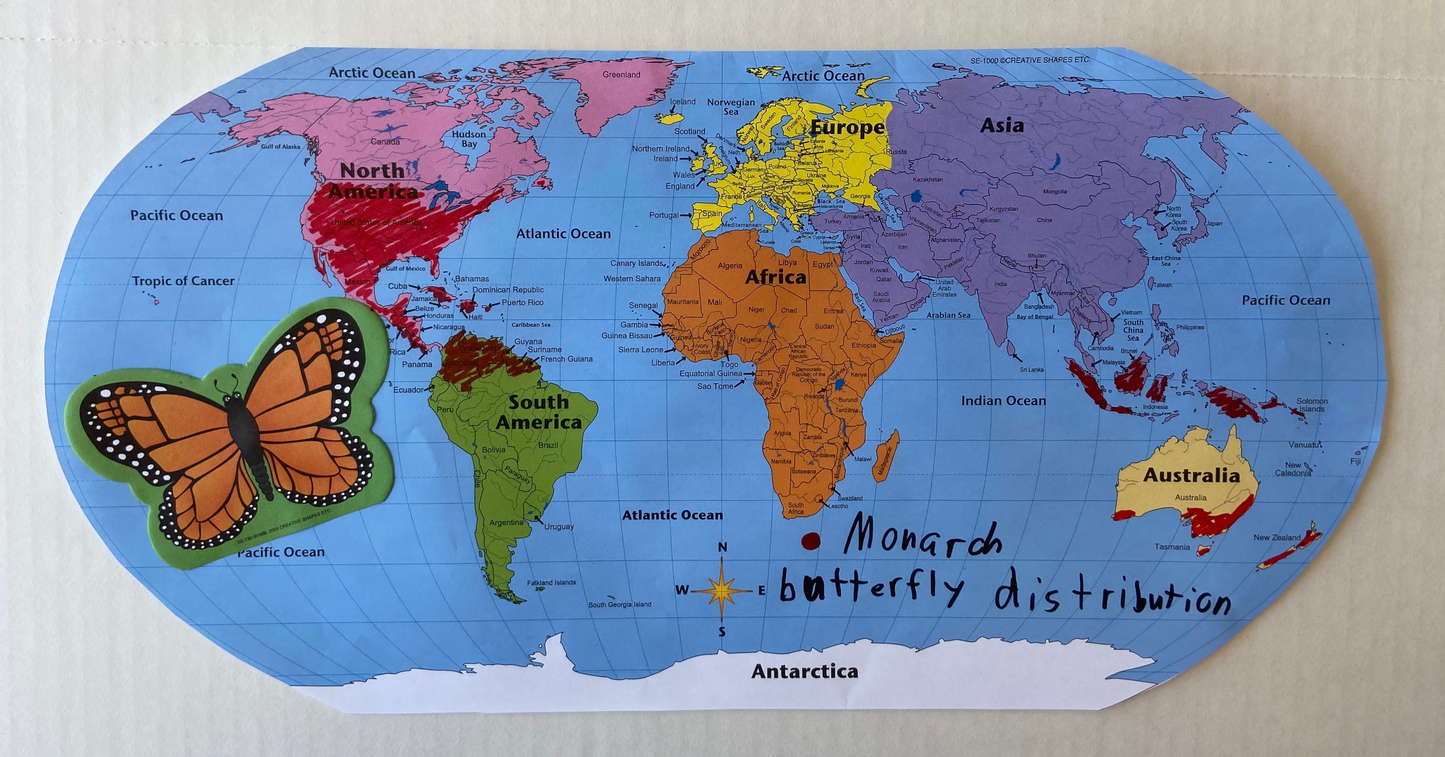 Labeled World- Practice Maps-6