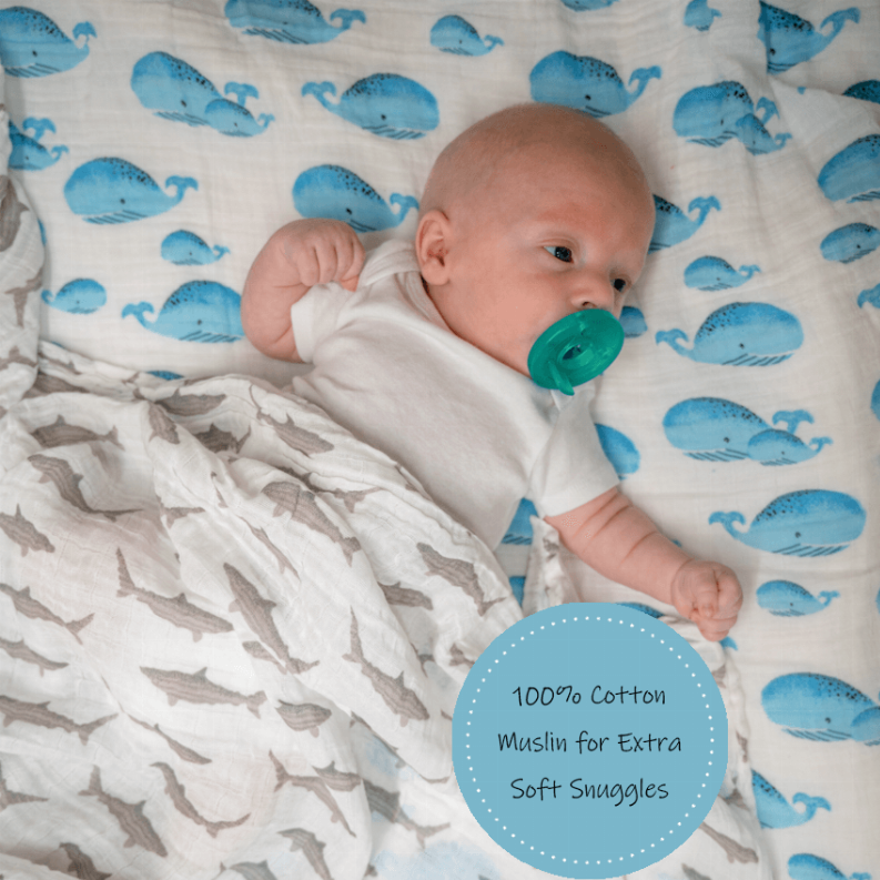 Whale, Whale, Whale Swaddle-3