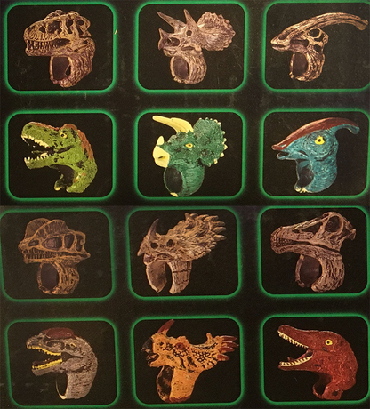 Dinosaur Ring Display Box, x12 Ring Assortment-3