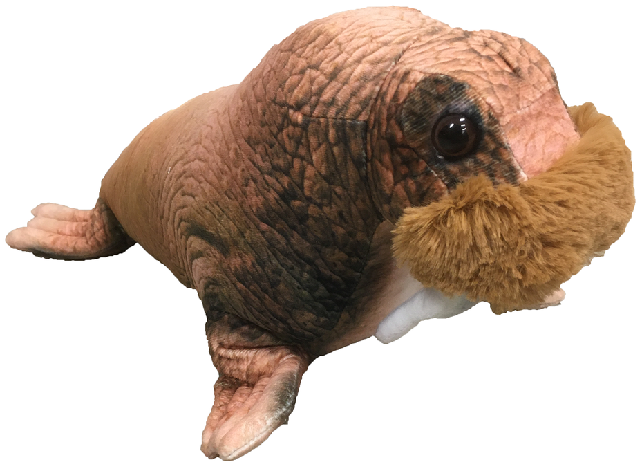 Walrus 16" Plush Aquatic Stuffed Animal-2