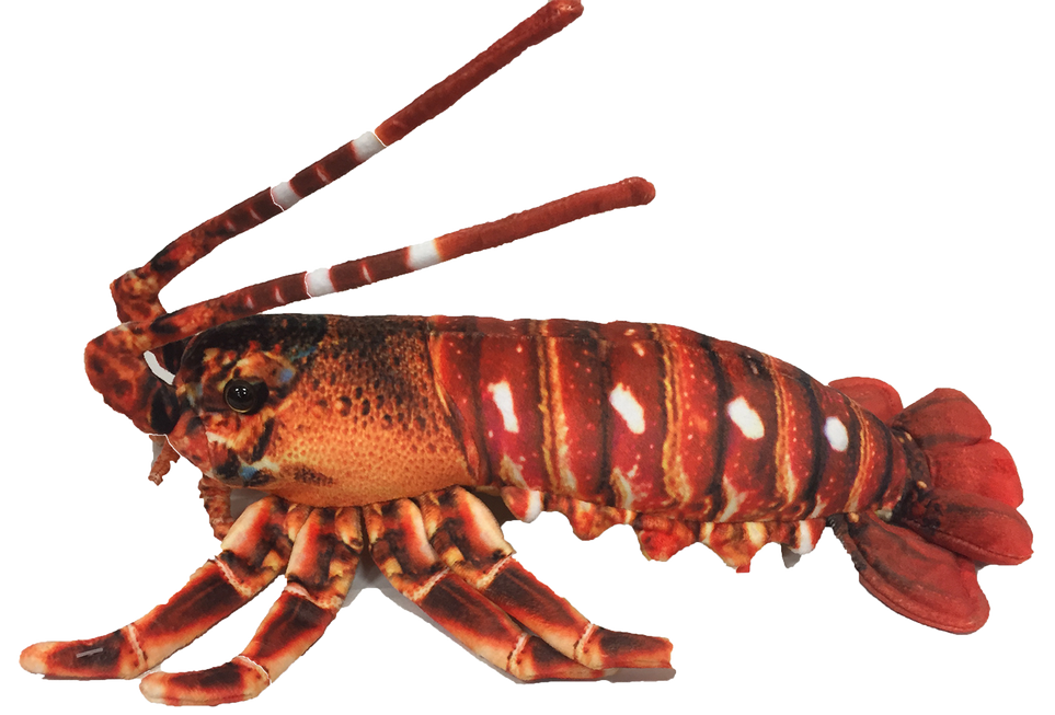 Crawfish Lobster 12.5" Plush Aquatic Stuffed Animal-4