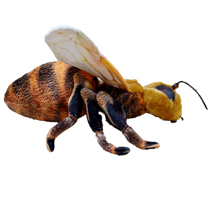 Bee 14" Plush Stuffed Animal-3