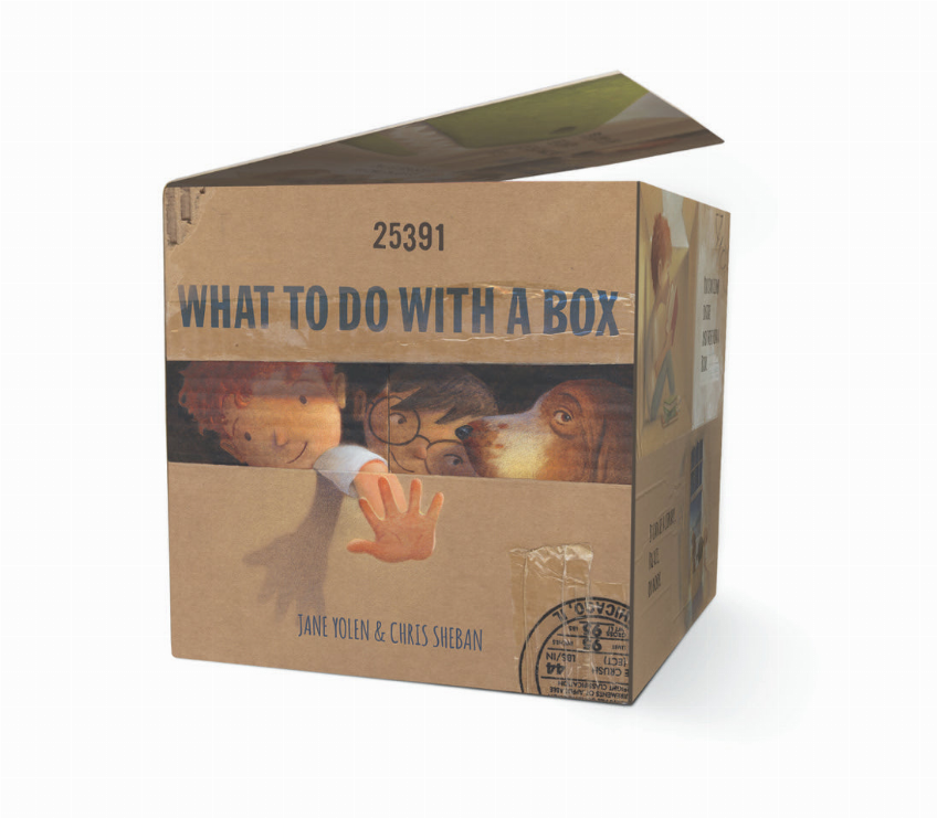 What to Do with a Box (Board)