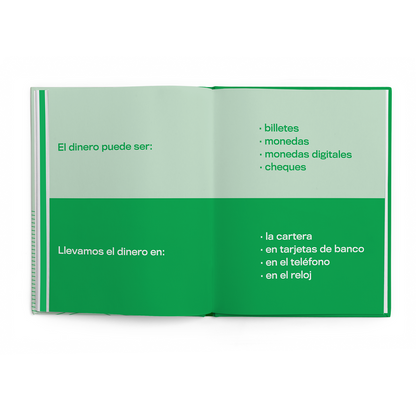 Un libro para ninos sobre dinero-4