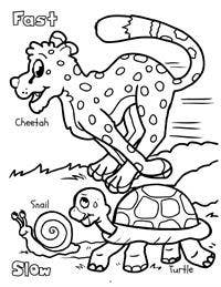 Early Years Really Big Coloring Book-3