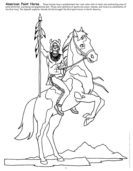 Big Book of Horses Coloring Book-2