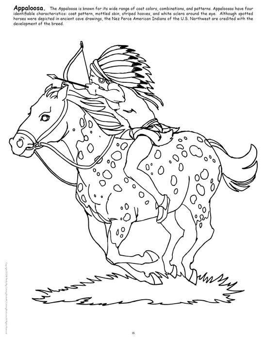 Big Book of Horses Coloring Book-3