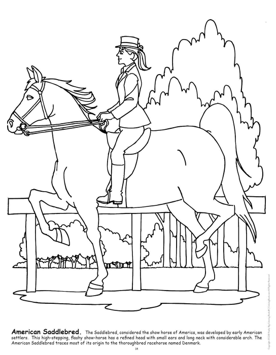 Big Book of Horses Coloring Book-4