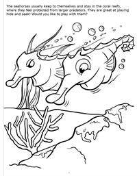 Underwater Adventures Big Coloring Books-3