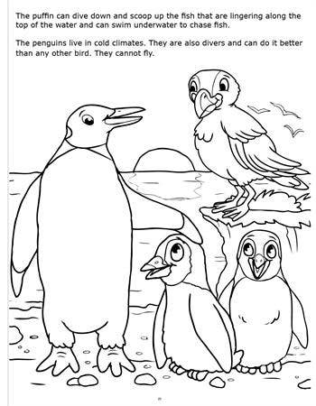 Underwater Adventures Really Big Coloring Book-4