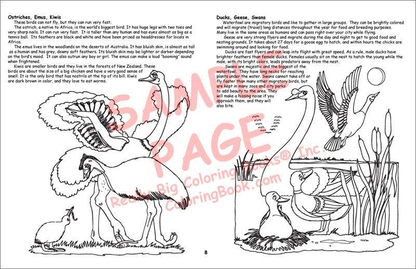 A Day at the Zoo LapTop Coloring Book-3