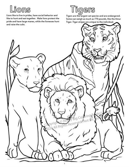 Zoo Animals Coloring Book-2