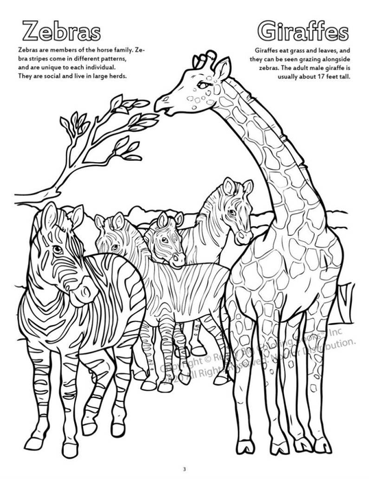 Zoo Animals Coloring Book-3