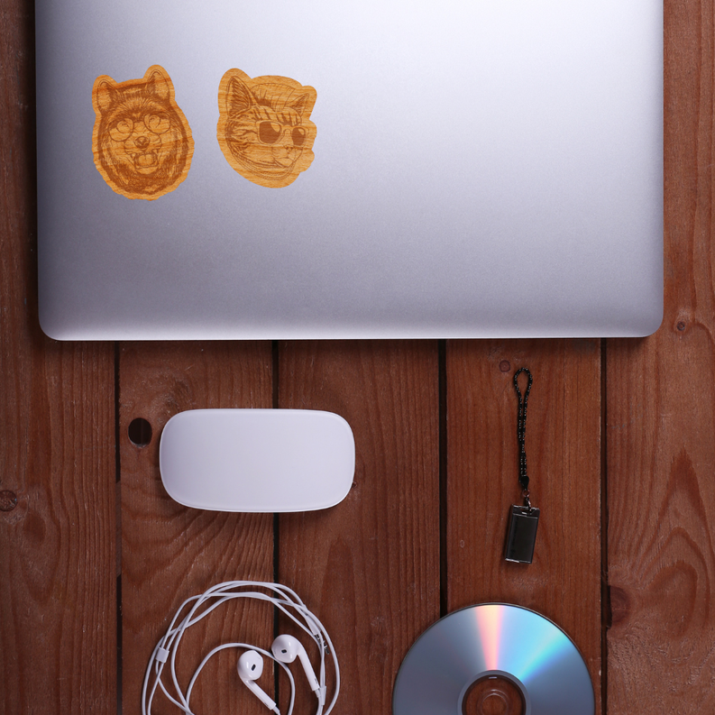 Wood Cat Sticker, Funny Hipster "Mr. Kit T"-4