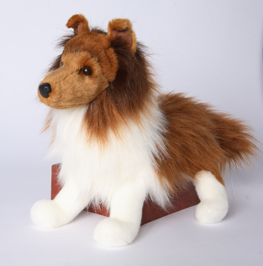 Whispy Sheltie Dog