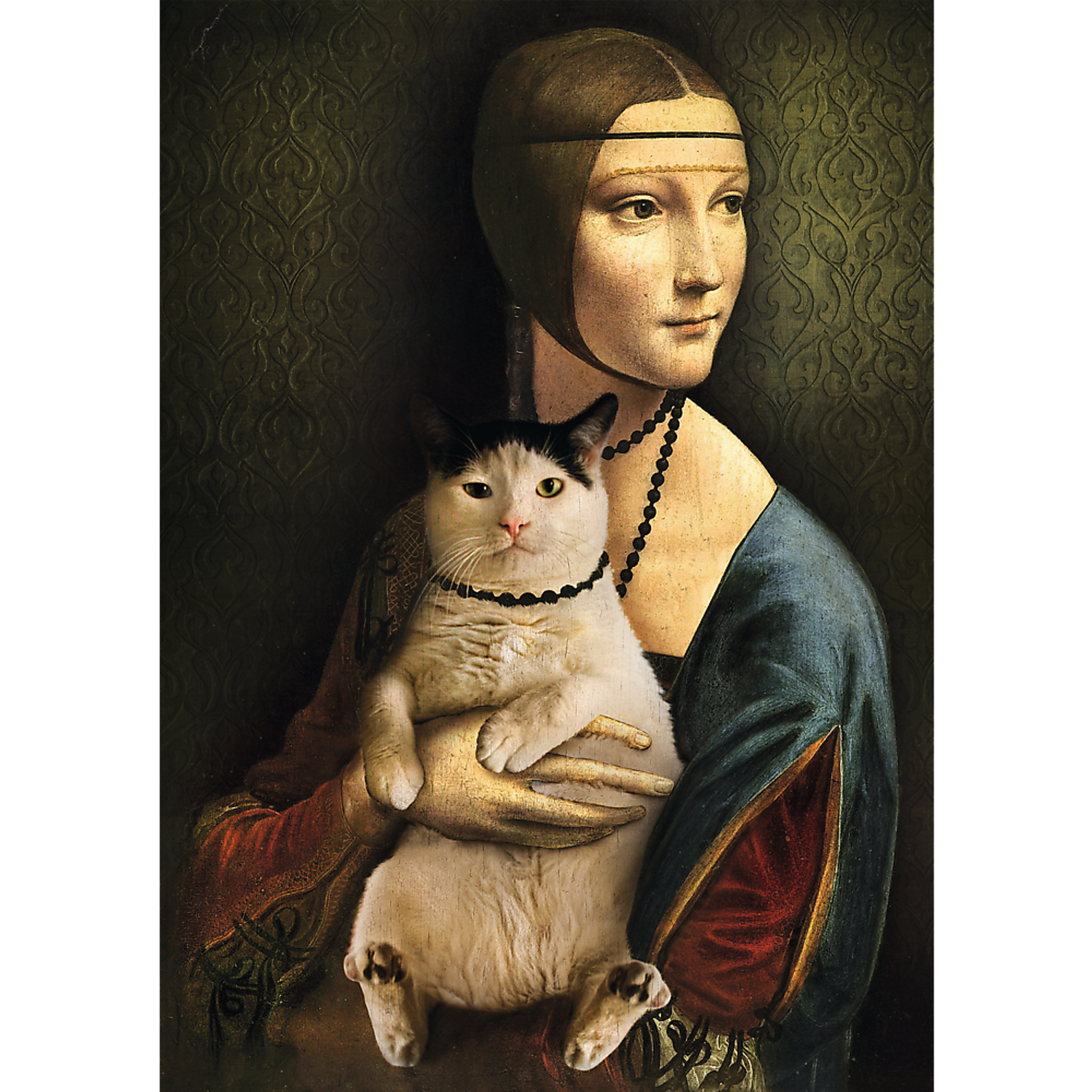 1000 Piece Jigsaw Puzzles - Lady with a cat-2