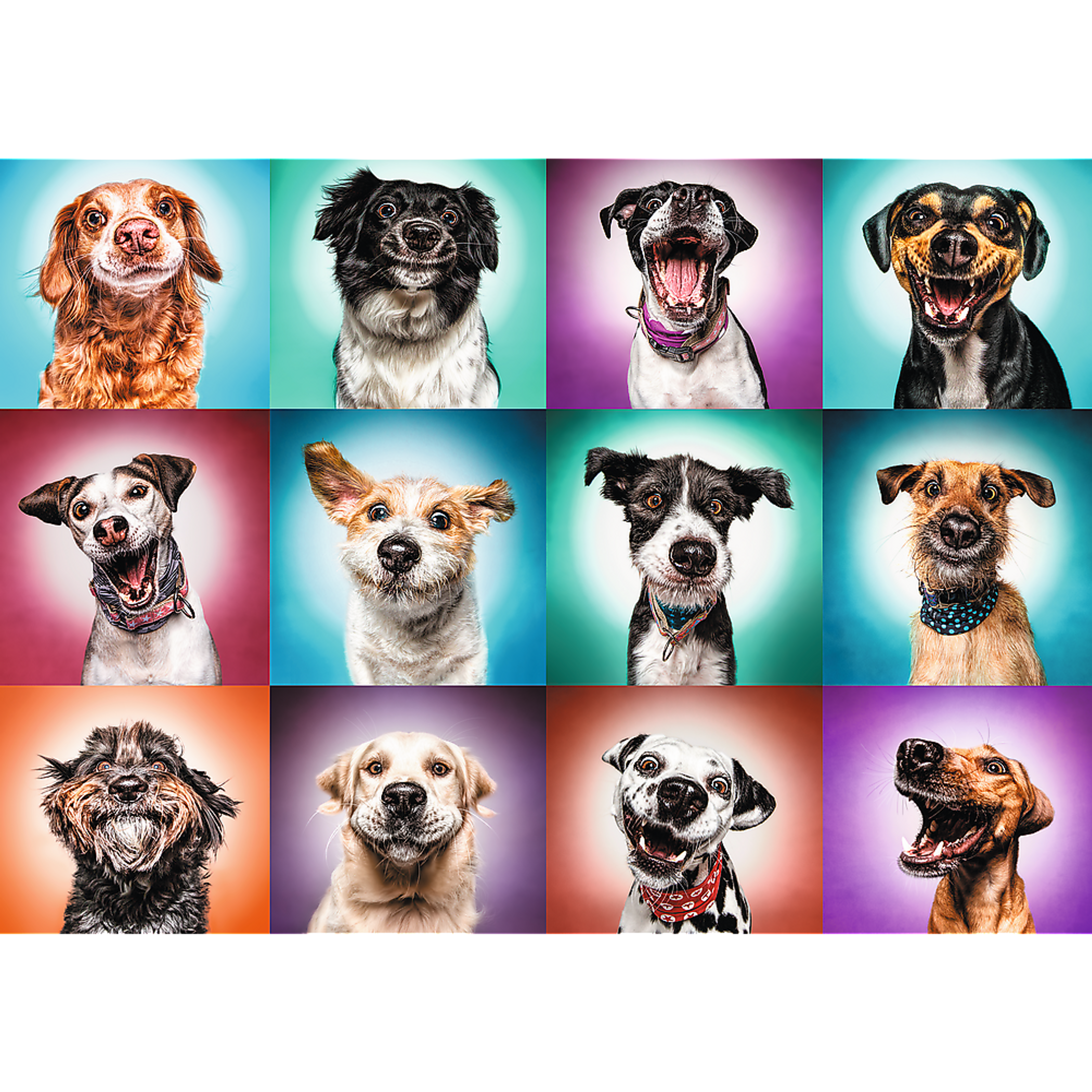 2000 piece Jigsaw Puzzles - Funny dog portraits II-2
