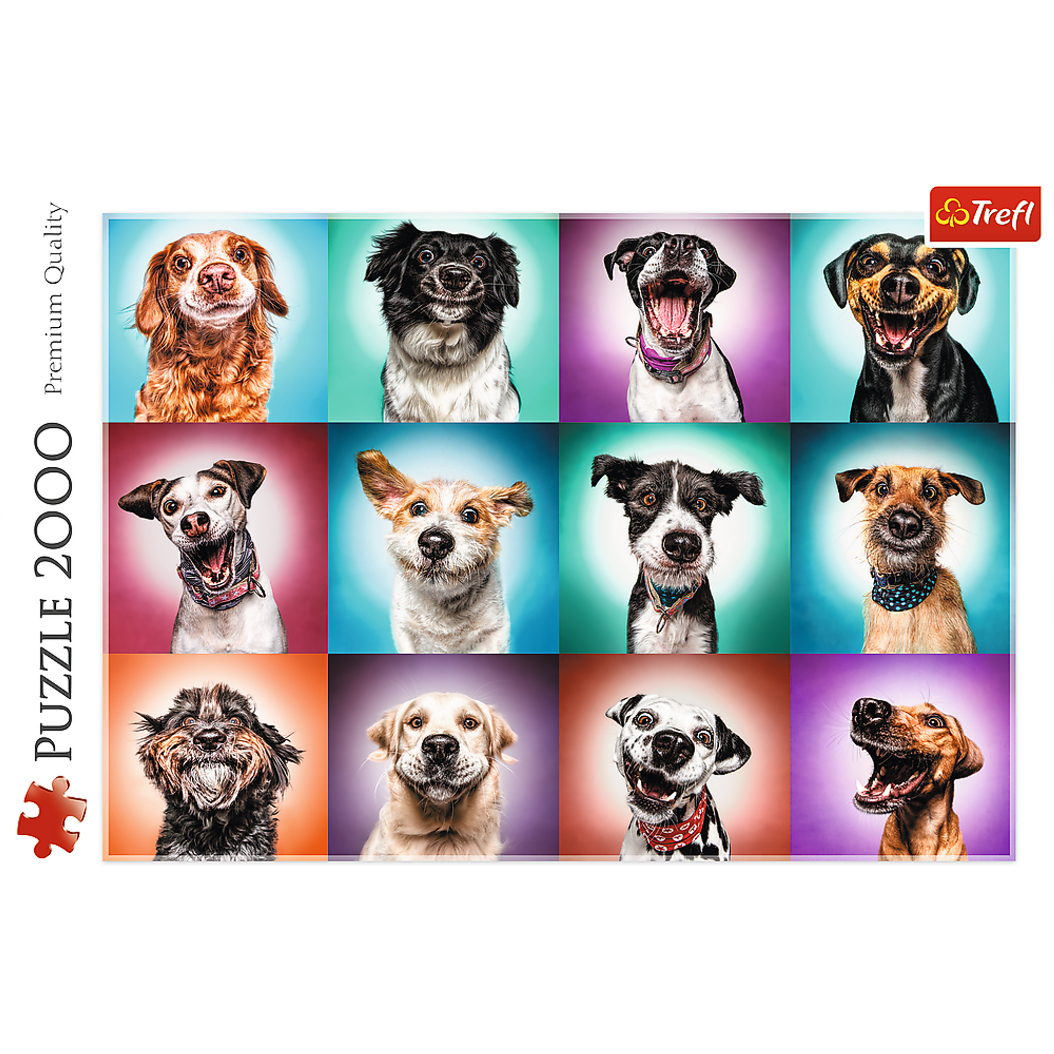 2000 piece Jigsaw Puzzles - Funny dog portraits II-3