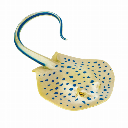 Blue Spotted Ray