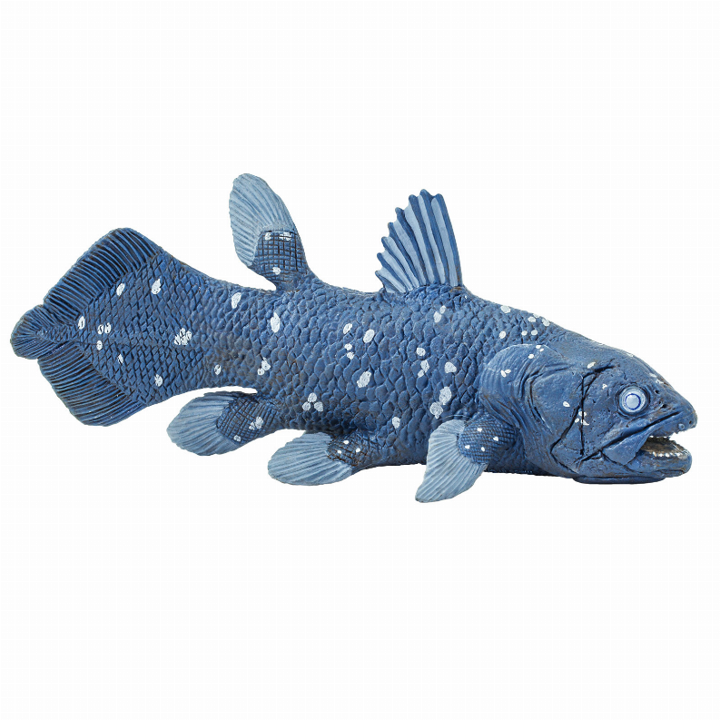 Coelacanth