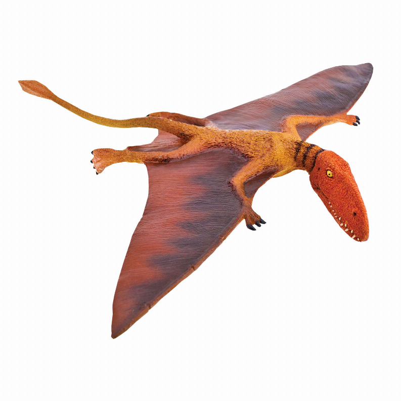 Dimorphodon