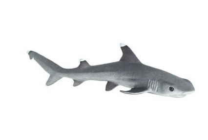 Whitetip Reef Shark Figurine